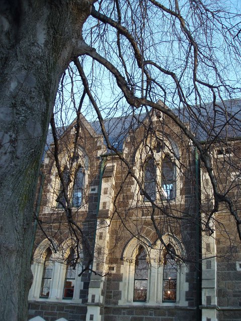 gothic kiwi architecture