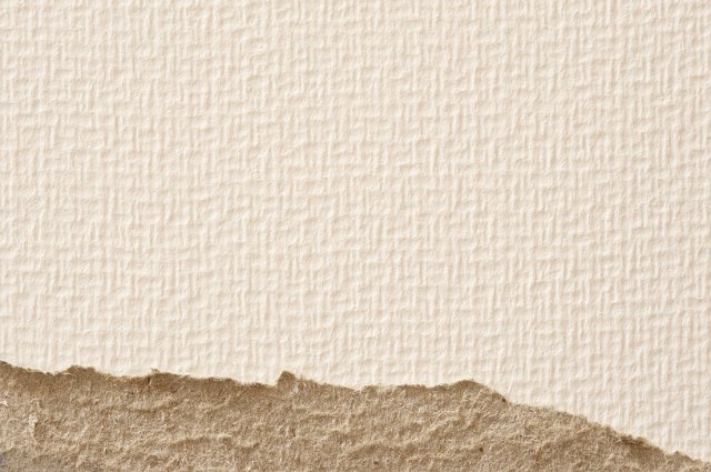 fine art paper textured paper with a torn card border at the bottom