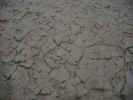mud0895.JPG (1326508 bytes)